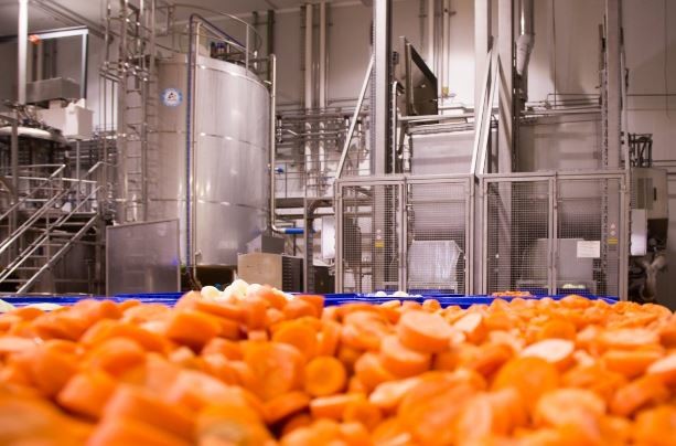 El grup Gallo inverteix 15 milions a Granollers per fabricar caldos