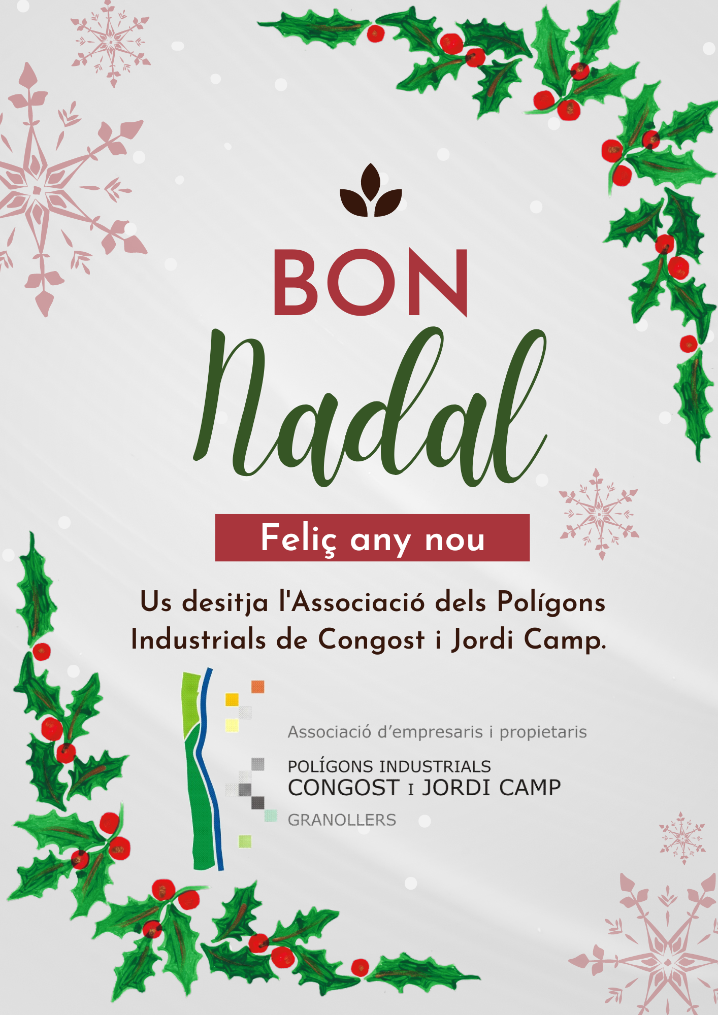 Bon Nadal i Feli Any Nou!